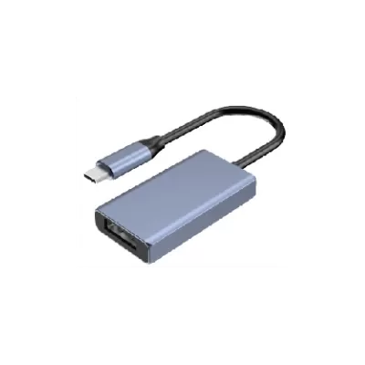 Concentrateur USB-C USB C to DP Adapter-HD43